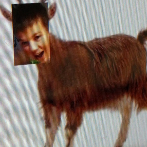 Meet your Posher, Gunnar - Picture 1 of 1